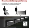 LED Solar-Garten-Wandleuchte VEREA mit Dämmerungssensor, 10,7 x 15,4 x 13 cm Produktbild-Vorschau