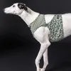 PAIKKA Hunde Kühlweste "Cool Vest" grün Leo, Größe: XL Produktbild-Vorschau 3