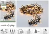 A collage of images showing a string of LED lights, product details, and icons. Voir les images du produit