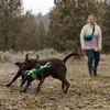 Ruffwear Pacific Loop Spielzeug Aurora Teal Produktbild-Vorschau 17