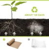 Illustration showing a plant growing and then decomposing, with examples of packaging materials. Produktbild-Vorschau