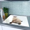 Spritzschutz Herdabdeckplatte Schneidebrett aus Glas Katze Produktbild-Vorschau 2