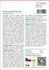 SAFLAX - Čínský pelyněk Qing Hao - Artemisia annua - 250 Náhled obrázku produktu 3
