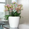 Samozavlažovací květináč Lechuza Classico LS Ø 35 x 32,5 cm Náhled obrázku produktu 15
