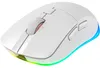 CHERRY XTRFY M50 Wireless, rechts, Optisch, RF Wireless + Produktbild-Vorschau 6
