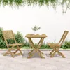 vidaXL Gartenstühle 2 Stk. Klappbar 48,5x61,5x87 cm Produktbild-Vorschau 3