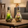 2er Set Sukkulenten Glühbirne Im Glas B x H: 8 x 19 cm LED Produktbild-Vorschau 1