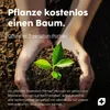 Vesta+ Balance Board Holz + Fitness App, Balanceboard aus Produktbild-Vorschau 7