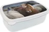 KitchenYeah® Lunchbox Brotzeit Brotdose 17x11 cm Produktbild-Vorschau 1