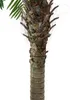 EUROPALMS Palma Phoenix luxor, pianta artificiale, 300cm Anteprima dell’immagine prodotto 4
