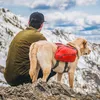 Kurgo Hunde-Rucksack Baxter M Rot Produktbild-Vorschau 10