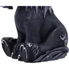 Nemesis Now Cult Cuties Culticorn-figur 10 Cm Schwarz  Produktbild-Vorschau 4