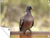 MuchoWow® Produktbild-Vorschau 1
