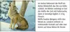 Sound-Adventskalender - Hört ihr die Tiere im Winterwald? Produktbild-Vorschau 2