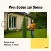 Bituxx Rosenturm Obelisk Rosenbogen Metall Rankbogen Produktbild-Vorschau 4