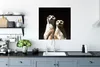 MuchoWow® Poster Schwarz - Erdmännchen - Tiere 75x75 cm - Produktbild-Vorschau 3
