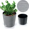 A plant in a gray textured pot, with a separate black inner pot and a circular graphic showing a pattern. Náhled obrázku produktu