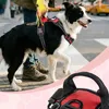 Hundegeschirr für große Hunde (XL, Rot) – Atmungsaktives, Produktbild-Vorschau 3