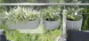 Prosperplast 4.9l Boardee Collection 38.3x21.2x13 Cm Produktbild-Vorschau 13