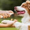 Ida Plus – Wund Spray für Hunde, Katzen, Pferde & mehr 200 Produktbild-Vorschau 3