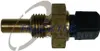 TRUCKTEC AUTOMOTIVE 01.17.069 Kühlmitteltemperatursensor Produktbild-Vorschau 1