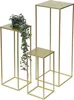 Three gold metal stands of varying heights are arranged on a white background. A green vine with leaves is draped over the tallest stand. Náhled obrázku produktu