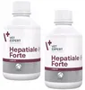 Vet Expert Hepatiale Forte 250ml Preparat Dla Psów Podgląd zdjęcia produktu 5