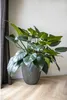 Capi Vase Groove Elegant 46x58 cm Anthrazit Produktbild-Vorschau 9