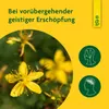 Schoenenberger Jus de plantes médicinales pur et naturel Voir les images du produit 9