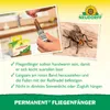 Neudorff Permanent Fliegenfänger Fliegenbekämpfung 4 Stk Produktbild-Vorschau 5