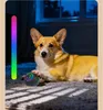 INF Interaktiver LED Haustierball - Selbstbewegend & Produktbild-Vorschau 5