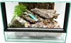 Terrario in vetro con accessori, set 30x30x20 cm per ragni Anteprima dell’immagine prodotto 2