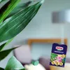Universaldünger für Zimmerpflanzen 300g Produktbild-Vorschau 4