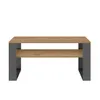 Topeshop MODERN 1P ANT ART, Konferenční stolek, Obdélníkový Náhled obrázku produktu 6