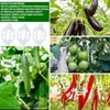 18 Stück Tomatenhaken mit Schnur & Clips, Metall Produktbild-Vorschau 3