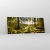 Bilder auf glas - Wald Baum Natur - 100x40cm - Glasbilder - Produktbild-Vorschau 4