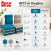 Betz 10 Stück Waschhandschuhe 16x21 cm PALERMO 100% Produktbild-Vorschau 9