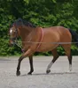 Waldhausen Longierhilfe, Größe:Warmblut, Farbe:schwarz Produktbild-Vorschau 2