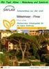 SAFLAX Garden to go - Mittelmeer - Pinie - Pinus pinea - 6 Produktbild-Vorschau 1