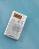 SANGEAN Sangean Electronics Sangean DT-250, AM, FM, MW, Podgląd zdjęcia produktu 2