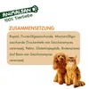 Animalsan DarmBalance 64ml – vegane Paste für Hunde & Produktbild-Vorschau 6