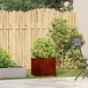 vidaXL Fioriera Rusty 40x40x40 cm Acciaio resistente alle Anteprima dell’immagine prodotto 2