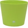 A single green plant pot on a white background. Produktbild-Vorschau