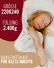EVAN BROWNS® Feder Bettdecke - Daunendecke für den Winter - Produktbild-Vorschau 5