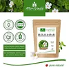 Moriveda Brahmi Kapseln – 120 Stück – Bacopa Monnieri – Produktbild-Vorschau 4
