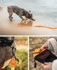 lionto Schleppleine für Hunde 20 m, strapazierfähig & Produktbild-Vorschau 3