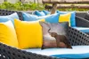 MuchoWow® Outdoor Kissen - Trompetender Elefant in der Produktbild-Vorschau 4