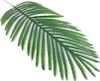 Deko-dadelpalmblad, 84 cm – Natuurgetrouw en flexibel Productafbeelding-voorbeeld 12
