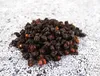 Schisandra Beere Premium Ganze Schisandra Beeren 300G Produktbild-Vorschau 2