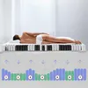 7-zónový ergonomický taštičkový matrac Sleezzz Diamond Náhľad obrázku produktu 19